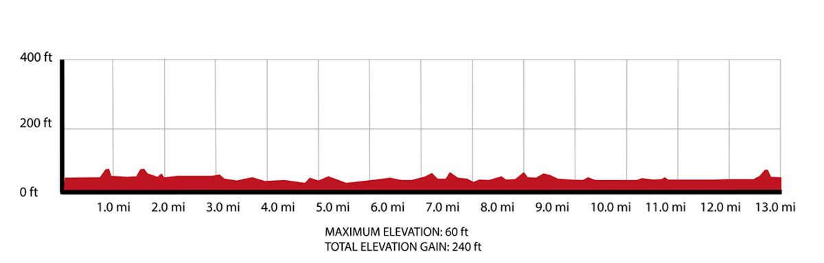 half marathon route elevation